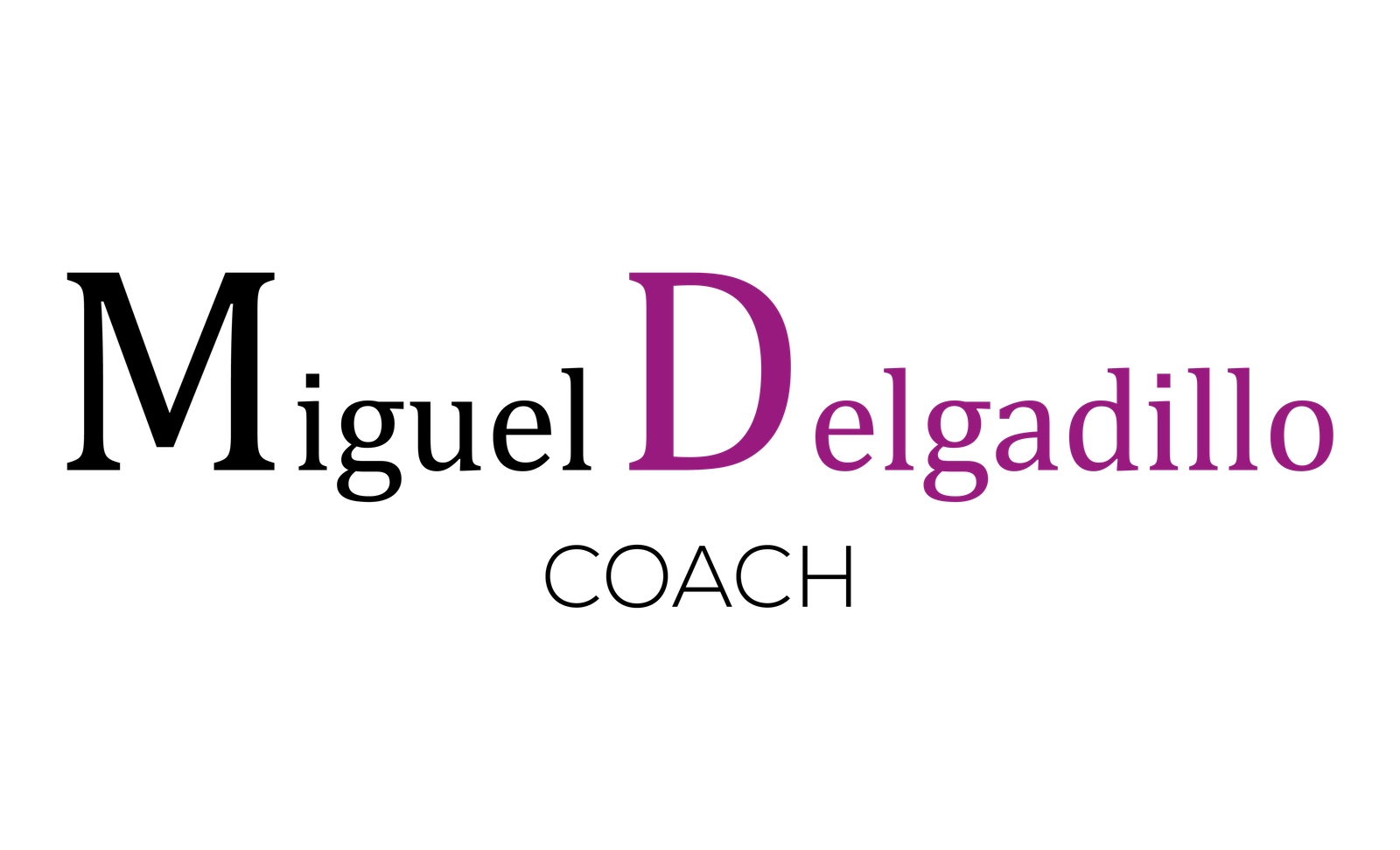 Logos de Miguel Delgadillo